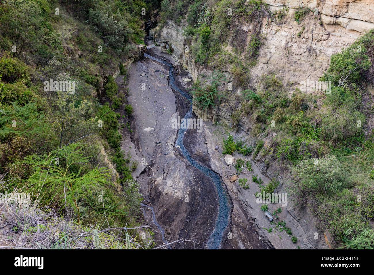Paysage nature au parc national de Hells Gate Great Rift Valley Nakuru County Kenya Afrique orientale le parc national de Hell's Gate se trouve au sud du lac Naivasha i. Banque D'Images