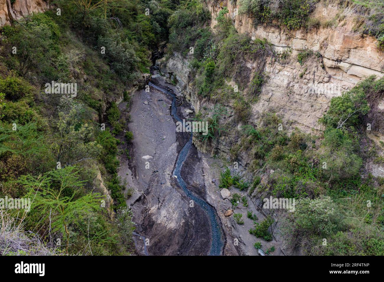 Paysage nature au parc national de Hells Gate Great Rift Valley Nakuru County Kenya Afrique orientale le parc national de Hell's Gate se trouve au sud du lac Naivasha i. Banque D'Images