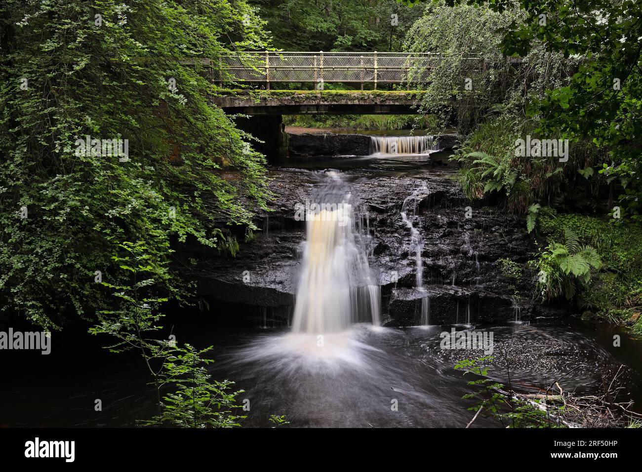 Chute d'eau de Blackling Hole en été, Hamsterley Forest, Teesdale, County Durham, Royaume-Uni Banque D'Images