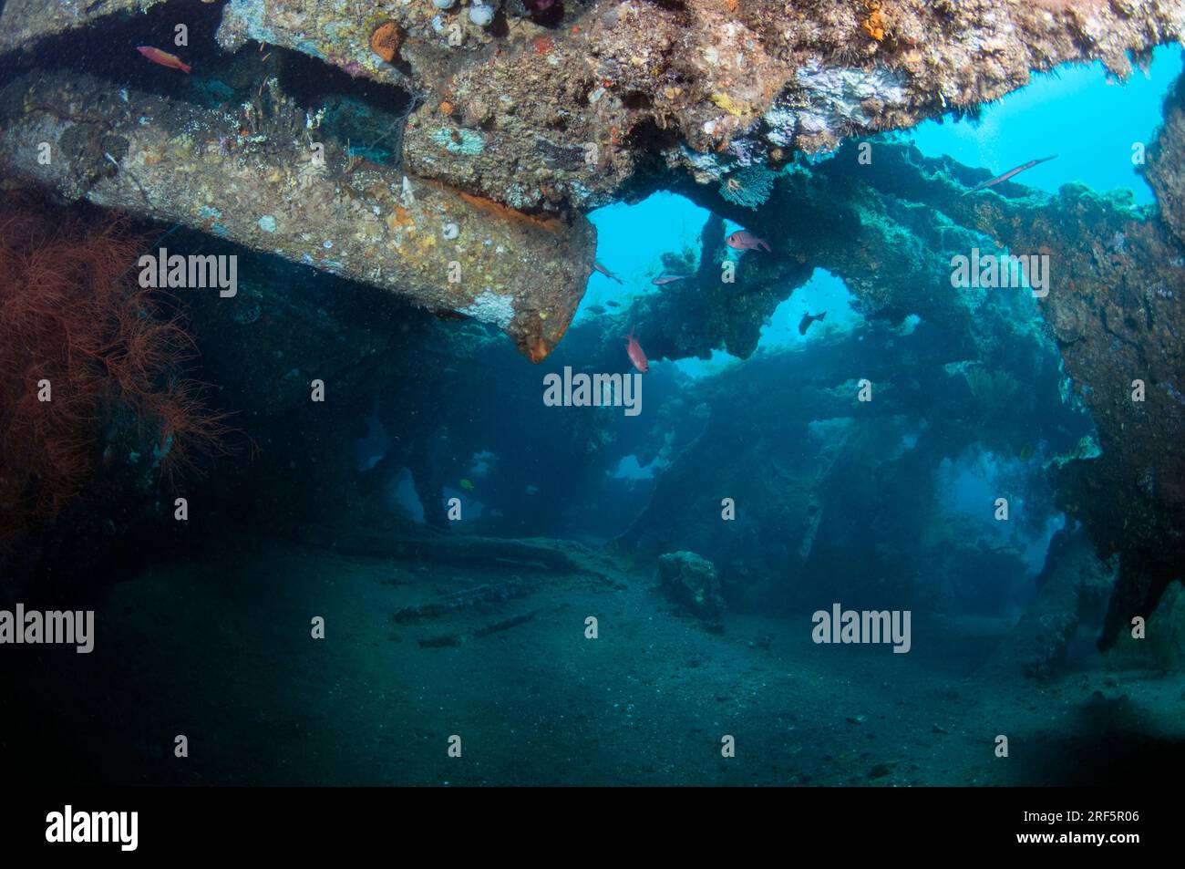 Inside USAT Liberty ship, Liberty Wreck site de plongée, Tulamben, Karangasem, Bali, Indonésie Banque D'Images