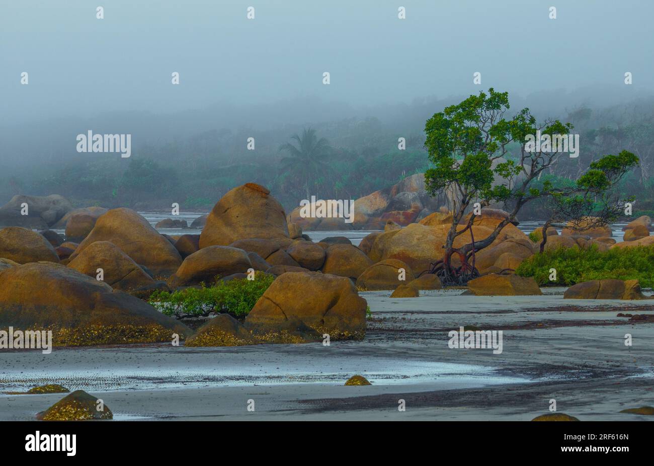 Claudie Beach/Sunrise - Lockhart RV., Cape York, Queensland Banque D'Images