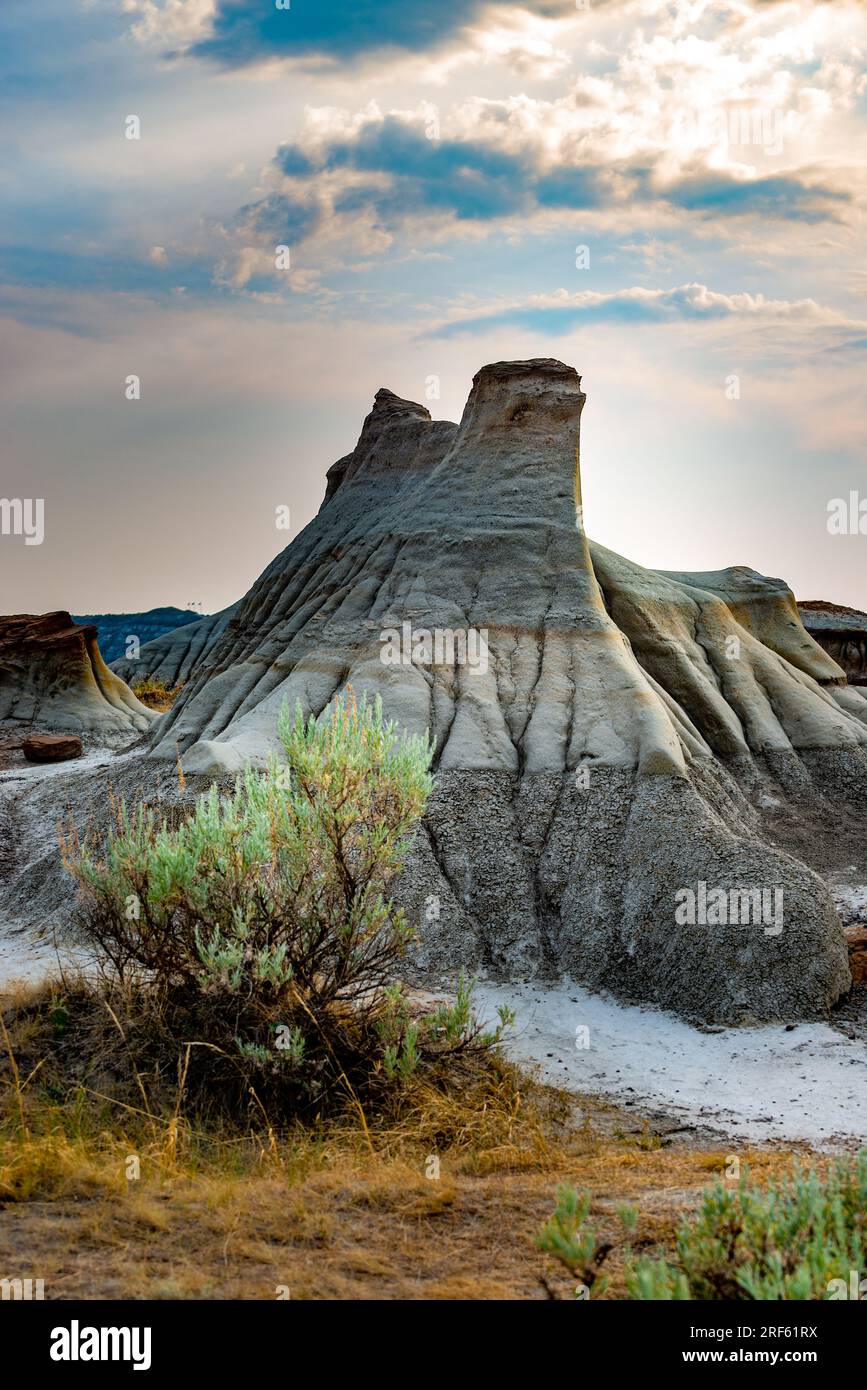 Dinosaur provincial Park hoodoos : anciens piliers de grès façonnés par le vent et l'eau, un aperçu du passé de la Terre Banque D'Images