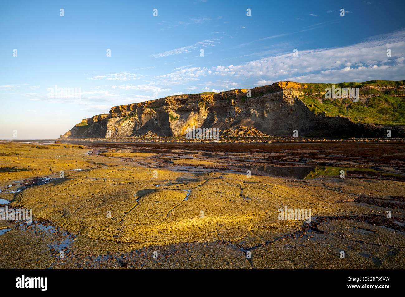 Formations rocheuses du récif Shield dans la baie de Saltwick près de Whitby Banque D'Images