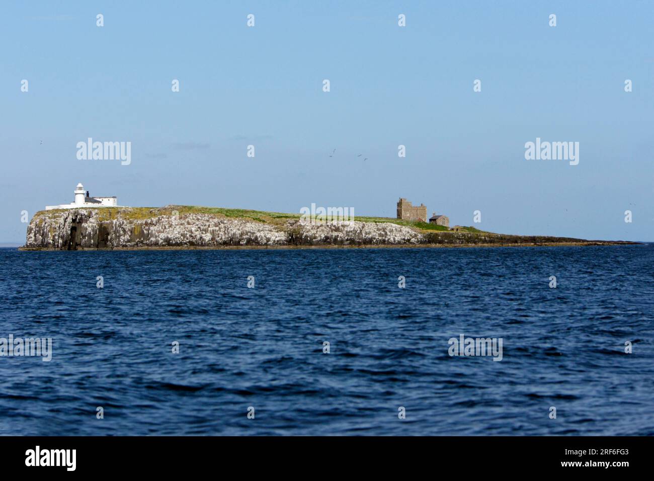 Stapel Island, Îles Farne, Angleterre, Royaume-Uni Banque D'Images