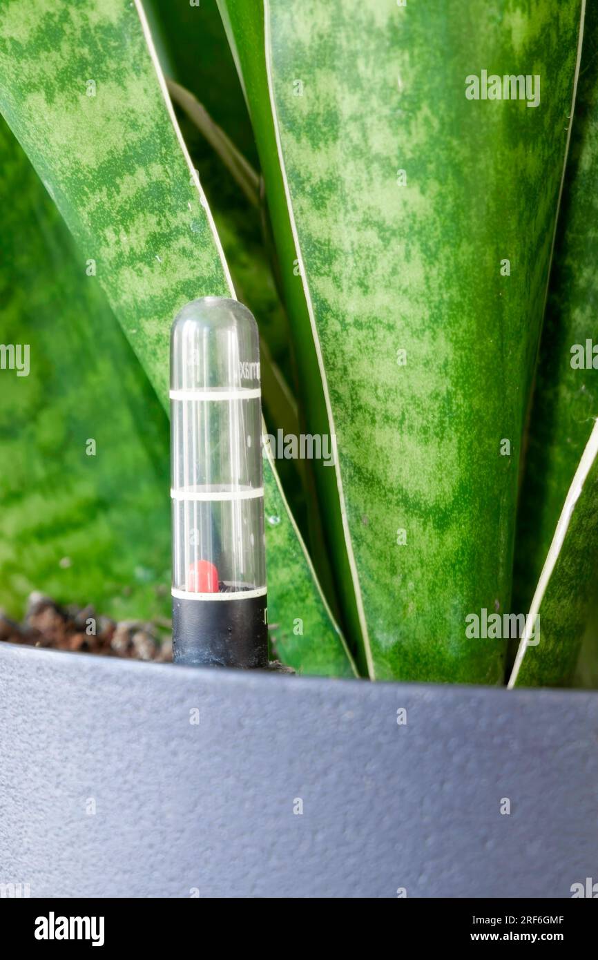 Gros plan du pot de jardinière du système d'arrosage automatique avec indicateur de niveau d'eau Banque D'Images