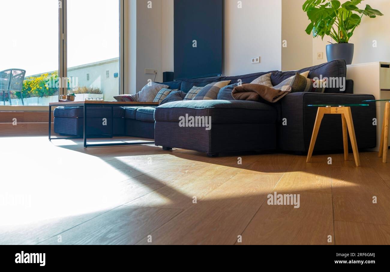 Intérieur de salon moderne avec canapé confortable élégant. Décoration intérieure. Cette chambre lumineuse et spacieuse dispose d''un canapé confortable et de plantes Banque D'Images