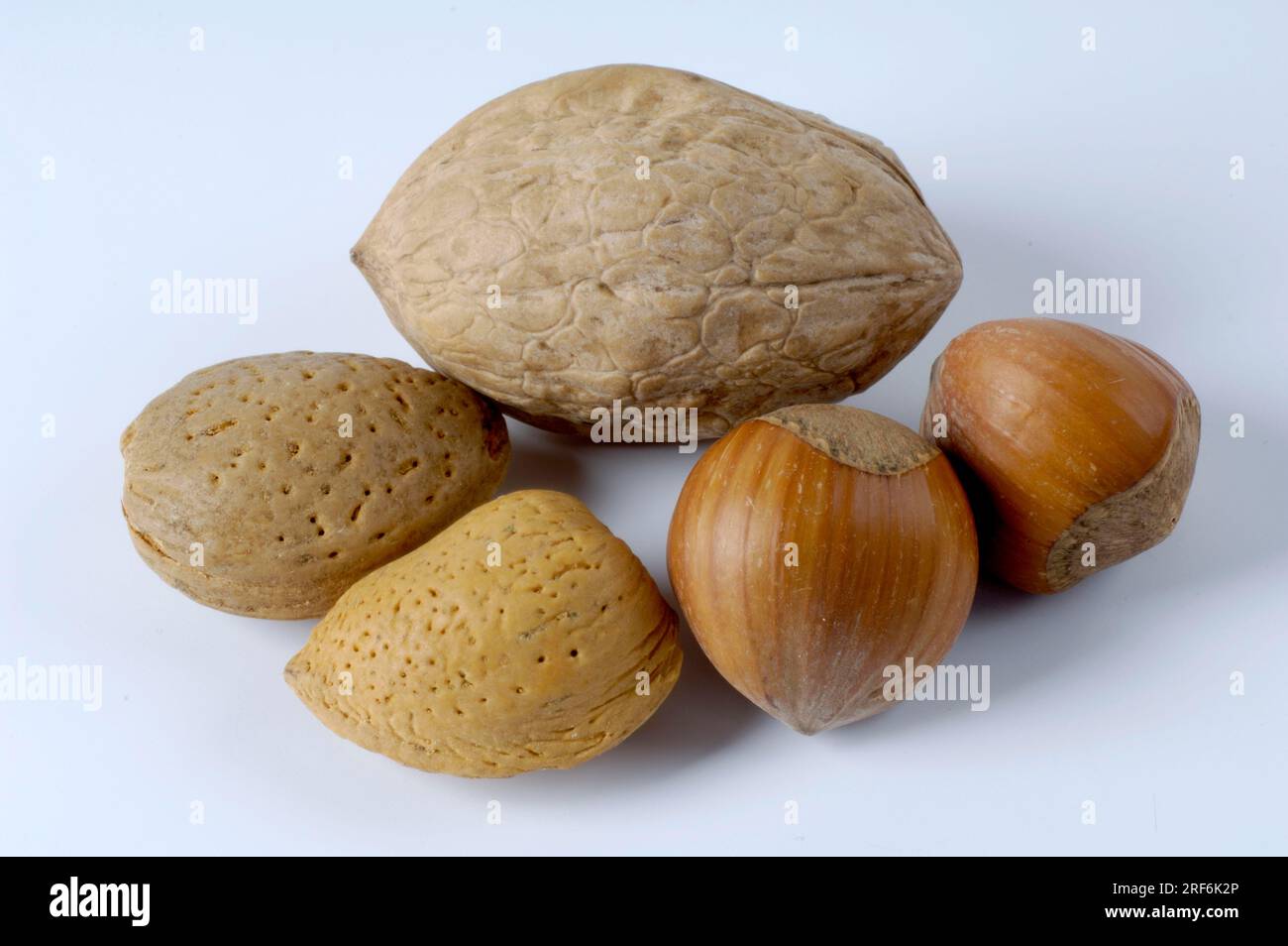 Amandes, noisettes et noix, noisettes, noix, amandes, amande douce Banque D'Images