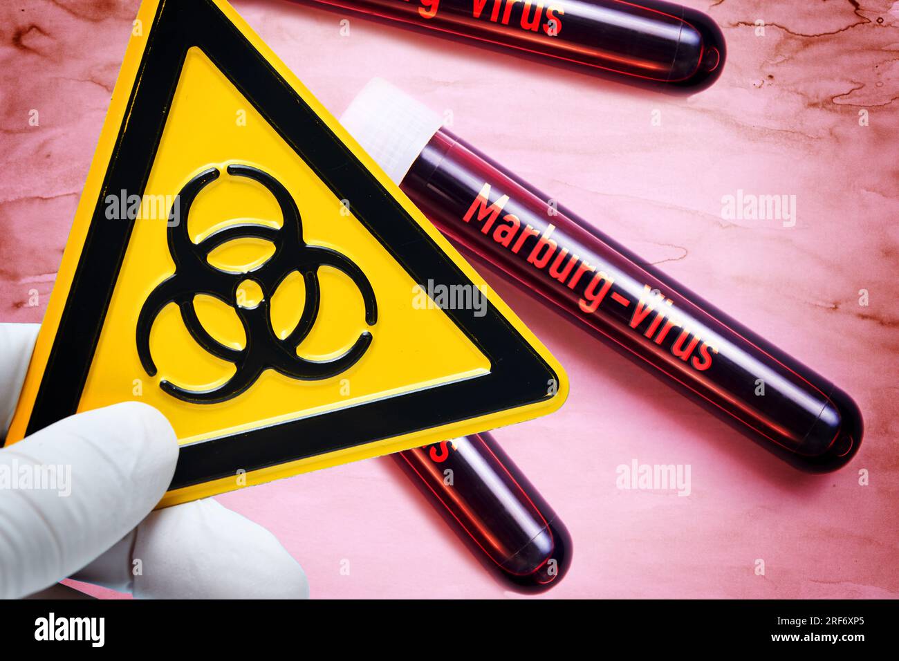 FOTOMONTAGE, main hält Biogefährdungszeichen vor Blutentnahmeröhrchen mit der Aufschrift Marburg-virus Banque D'Images