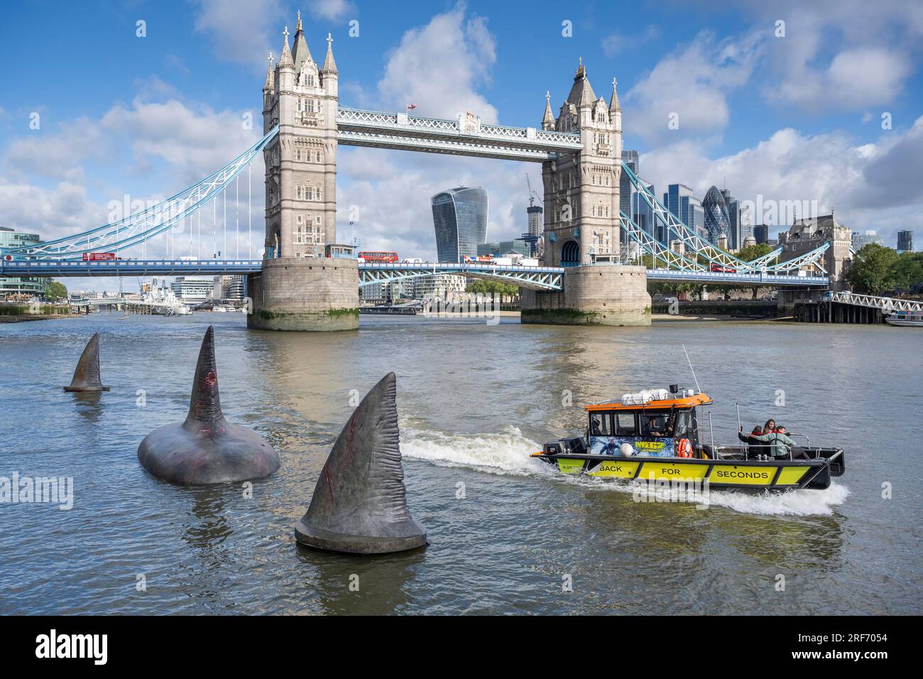 Londres, Royaume-Uni. 1 août 2023. Un hors-bord passe devant trois ailerons géants de requin Megalodon qui semblent s'élever à la surface de la Tamise près de Tower Bridge pour promouvoir la sortie britannique, le 4 août, du Warner Bros. Film d'images 'Meg 2 : The Trench', avec Jason Statham. Selon le Muséum d'histoire naturelle, l'espèce préhistorique connue sous le nom d'Otodus megalodon était le plus grand requin du monde, et l'un des plus grands poissons jamais existants. Crédit : Stephen Chung / Alamy Live News Banque D'Images