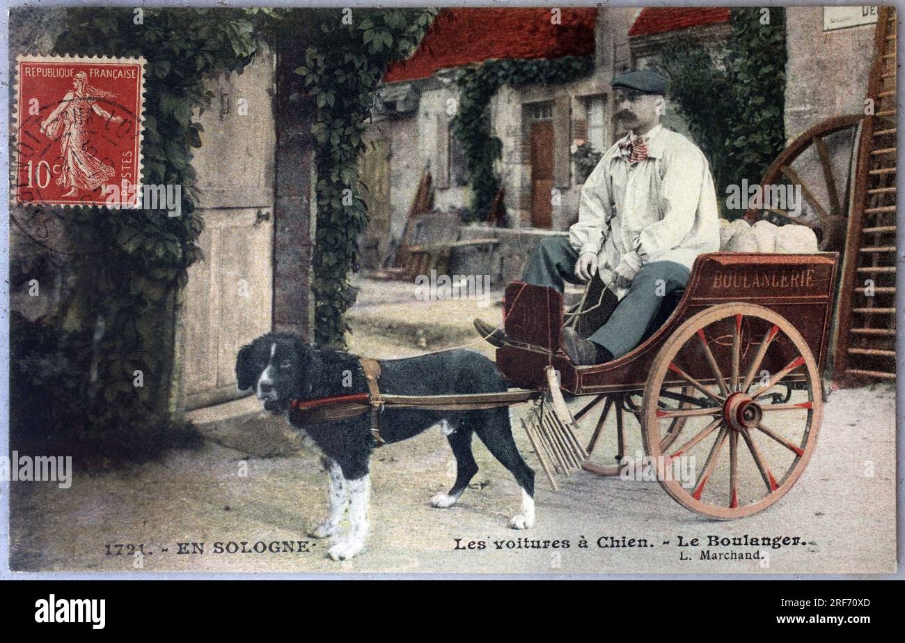 En Sologne, voiture un chien, le boulanger. Carte postale ancienne photographie, colorizee debut 20e siecle de L.Marchand. Banque D'Images