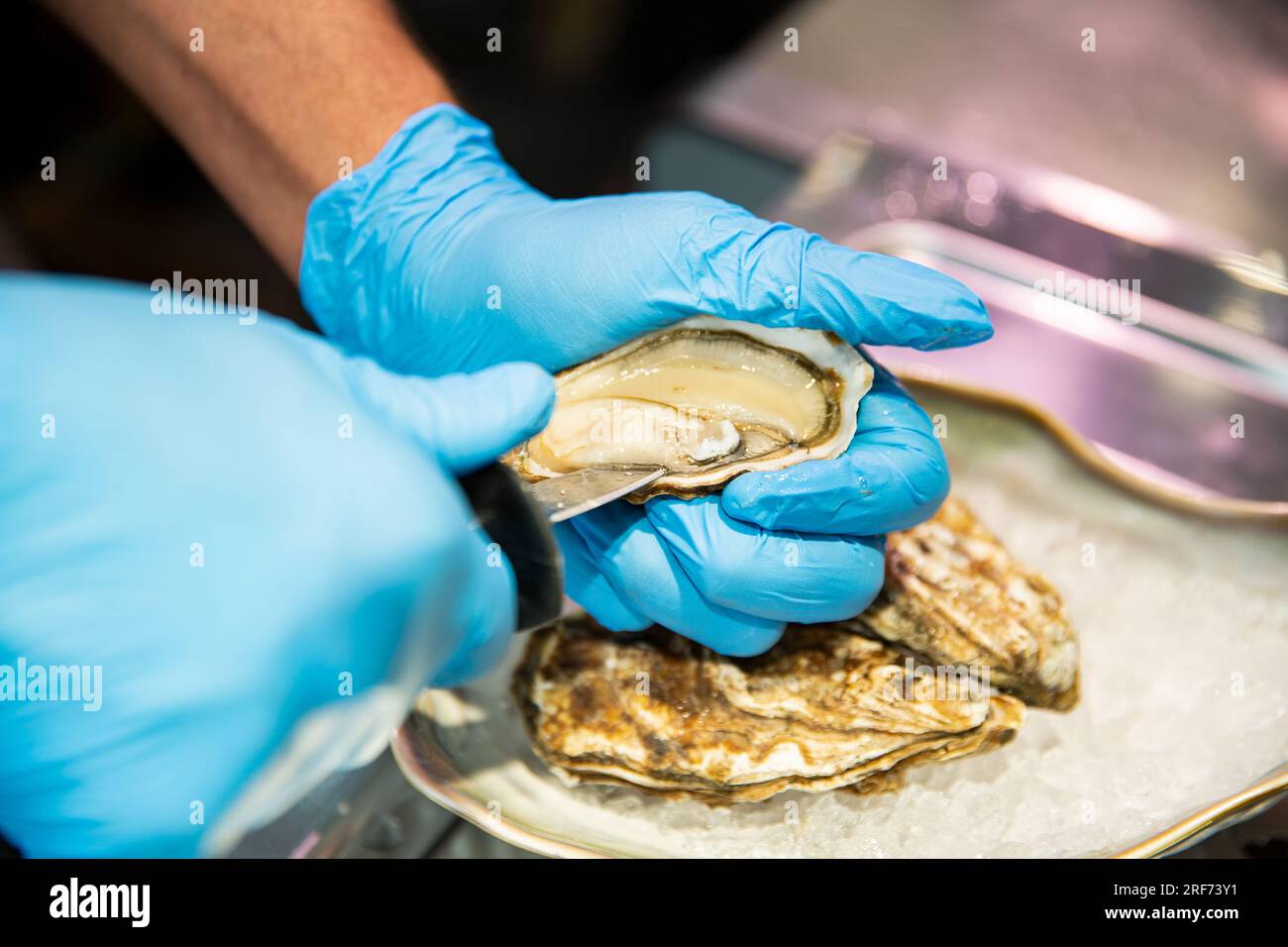 Les mains des hommes dans des gants hygiéniques ouvrent les huîtres. Le  chef prépare une huître avec un couteau spécial pour un client au marché  aux poissons du matin. Le chef épluche