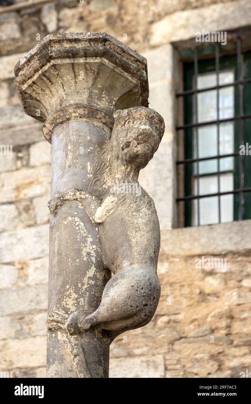 Lvice, středověké město Girona, Katalánsko, Španělsko / lion, ville médiévale Girona, Catalogne, Espagne Banque D'Images