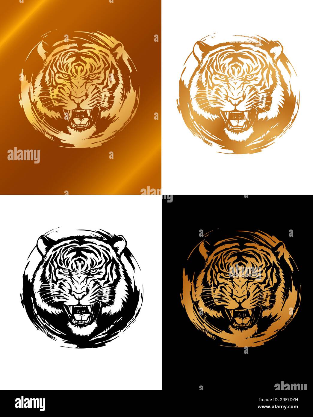 Нead d'un tigre d'or rugissant. Image vectorielle. Illustration de Vecteur