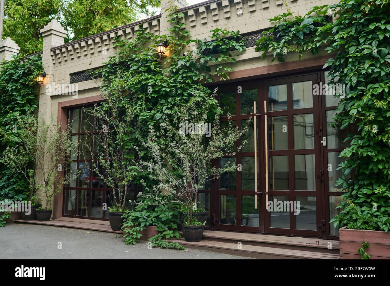 Grande porte vitrée fermée d'un petit magasin moderne ou d'un magasin entremêlé de lierre vert, d'arbustes et de plantes poussant dans des pots de fleurs Banque D'Images