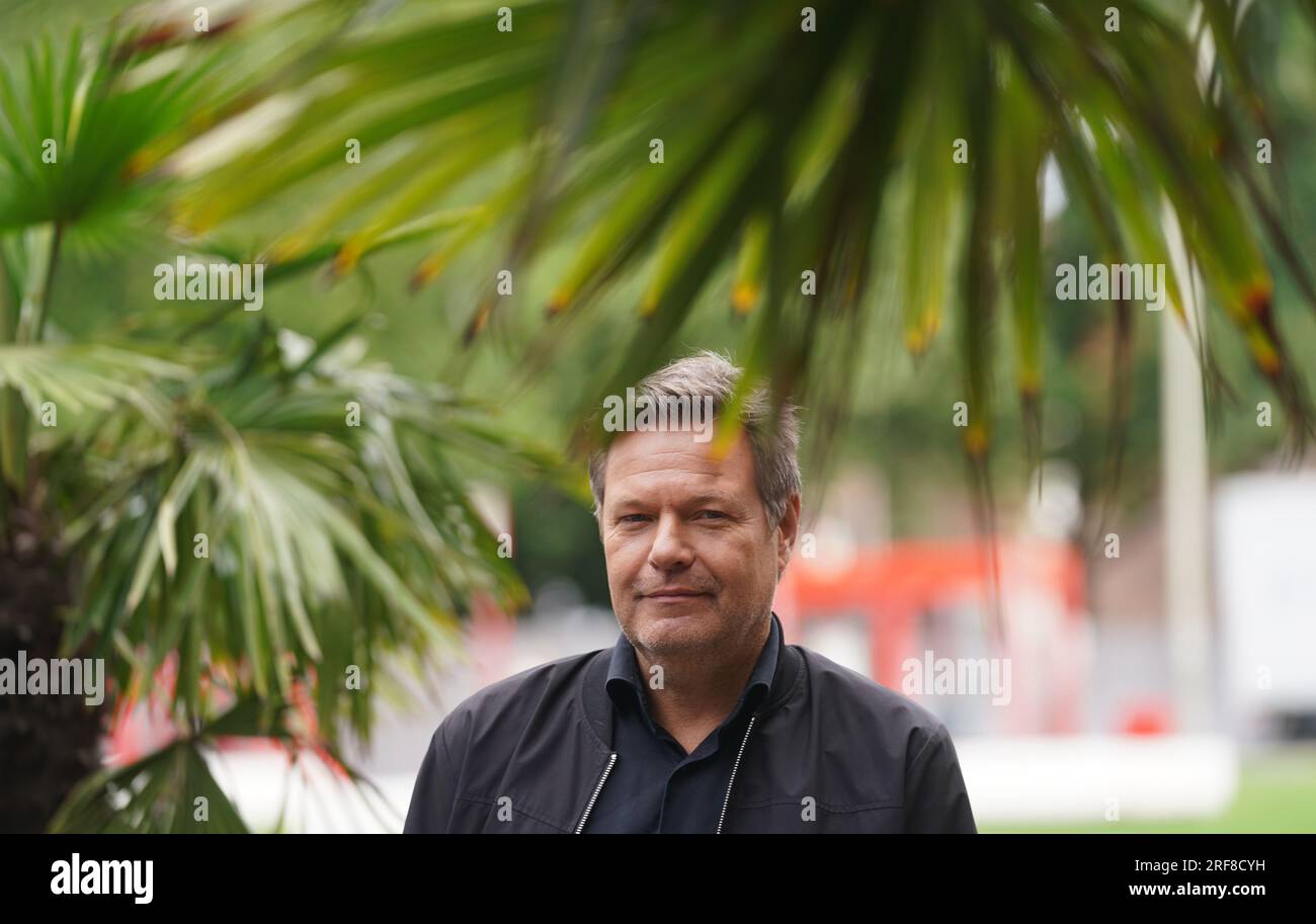 Hambourg, Allemagne. 01 août 2023. Robert Habeck (Bündnis 90/Die Grünen), ministre fédéral de l'économie et de la protection du climat, se tient entre des palmiers devant la maison Helmut Schmidt dans le centre-ville, peu avant un communiqué de presse. Le ministre fédéral de l'économie Habeck et les commissions européennes se sont mis d'accord sur des garde-corps pour le soutien gouvernemental aux nouvelles centrales à hydrogène et à gaz. Crédit : Marcus Brandt/dpa/Alamy Live News Banque D'Images