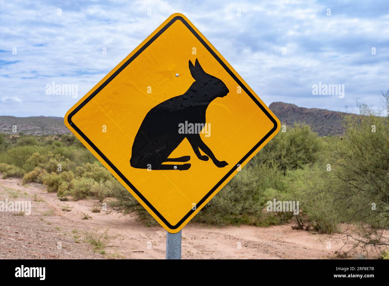 Un panneau de mise en garde pour la faune sauvage Mara Patagonienne semblable au lapin dans le parc national de Talampaya, province de la Rioja, Argentine. Banque D'Images