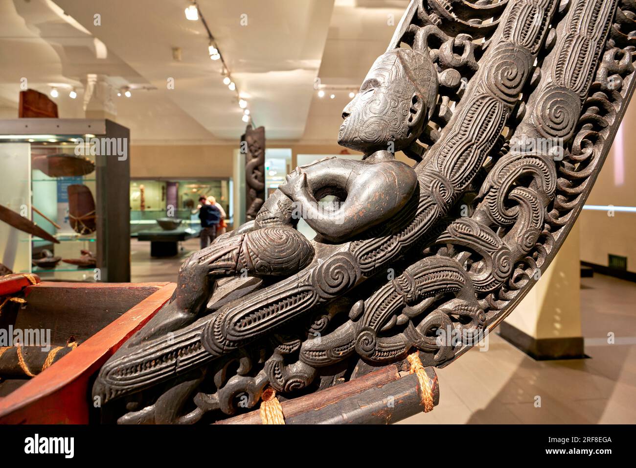 Auckland. Nouvelle-Zélande. Musée du Mémorial de guerre d'Auckland. Galerie d'histoire naturelle maorie Banque D'Images