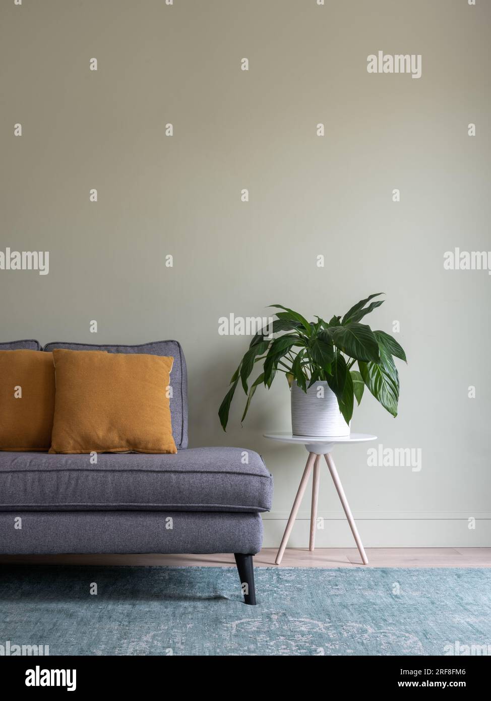 Un salon avec un canapé et un coussin et une petite table avec une plante. Banque D'Images
