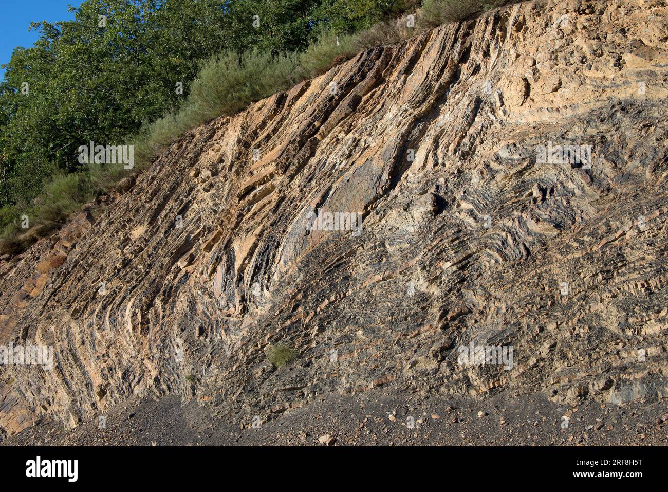 Pli synclinal près de Puerto de Piedrasluengas, Cantabrie, Espagne. Banque D'Images