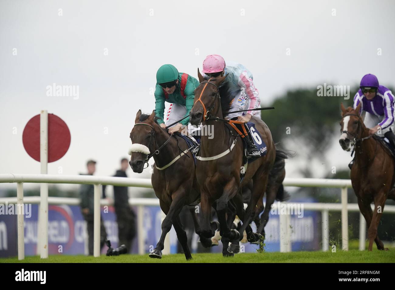 Purple Lily monté par William James Lee (deuxième à droite) sur leur chemin vers la victoire dans le COLM QUINN BMW Irish EBF Fillies Maiden lors de la deuxième journée du Galway races Summer Festival à Galway Racecourse. Date de la photo : mardi 1 août 2023. Banque D'Images