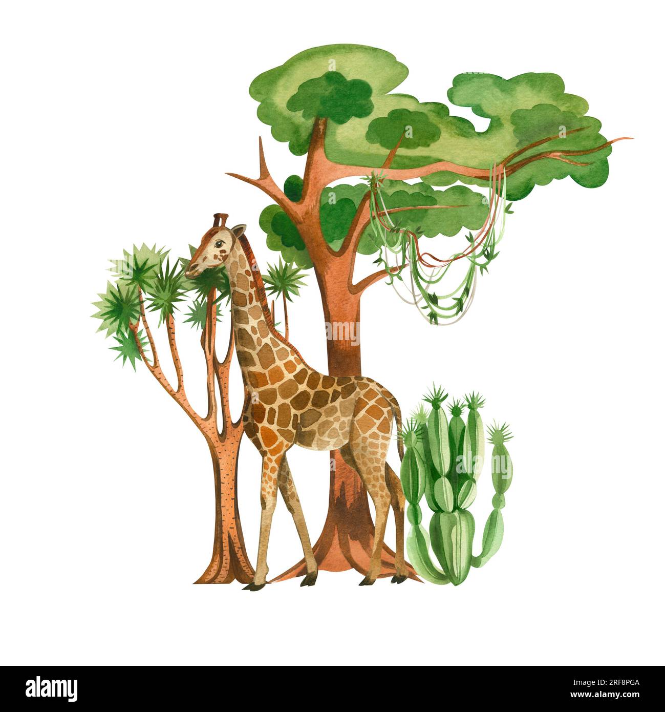 Illustration aquarelle sur fond blanc. Girafe parmi les arbres et les cactus, tous les éléments sont dessinés à la main à l'aquarelle. Convient pour l'impression sur fabr Banque D'Images