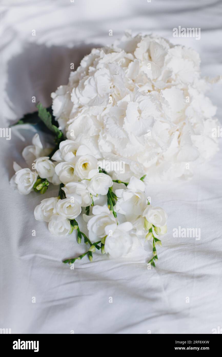 Belles fleurs blanches de Freesia et Hydrangea sur un fond blanc dans un soleil matinal. Mise au point sélective. Banque D'Images