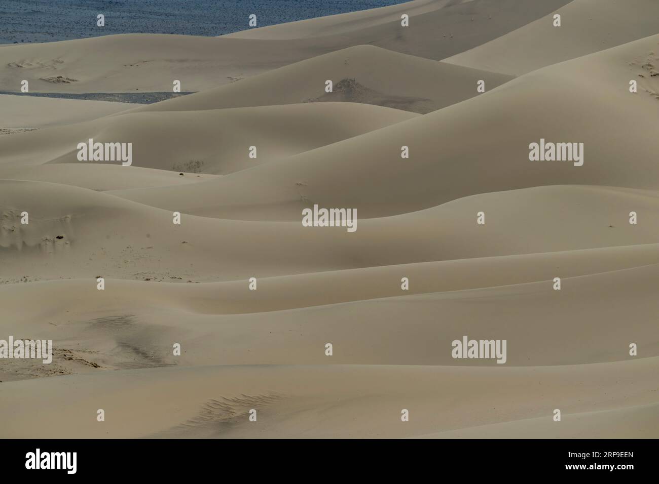 Vue détaillée des dunes de sable des dunes de sable de Hongoryn Els dans le désert de Gobi dans le sud de la Mongolie. Banque D'Images