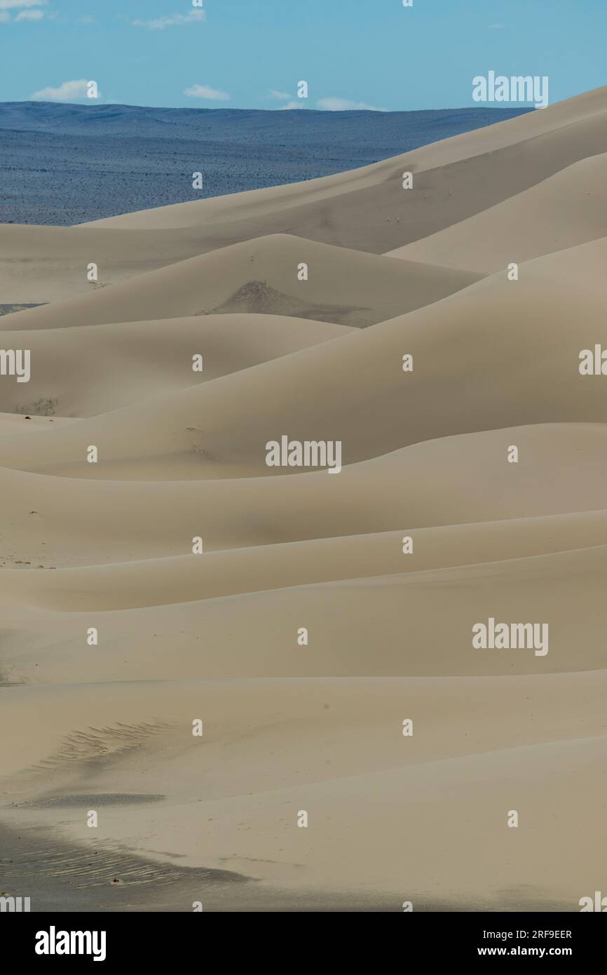 Vue détaillée des dunes de sable des dunes de sable de Hongoryn Els dans le désert de Gobi dans le sud de la Mongolie. Banque D'Images