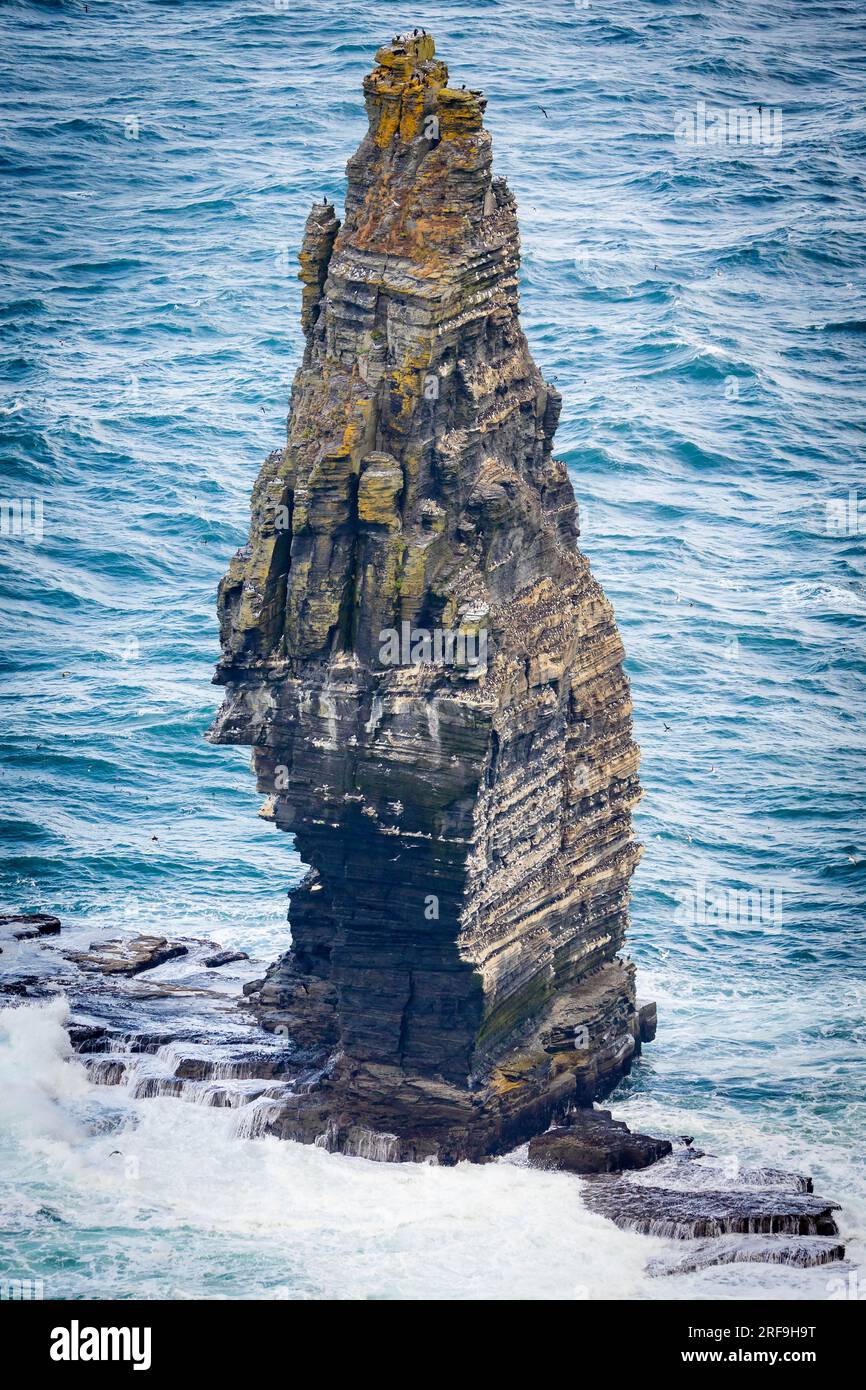 Pic solitaire à Cliffs of Moher avec des oiseaux nicheurs en Irlande Banque D'Images