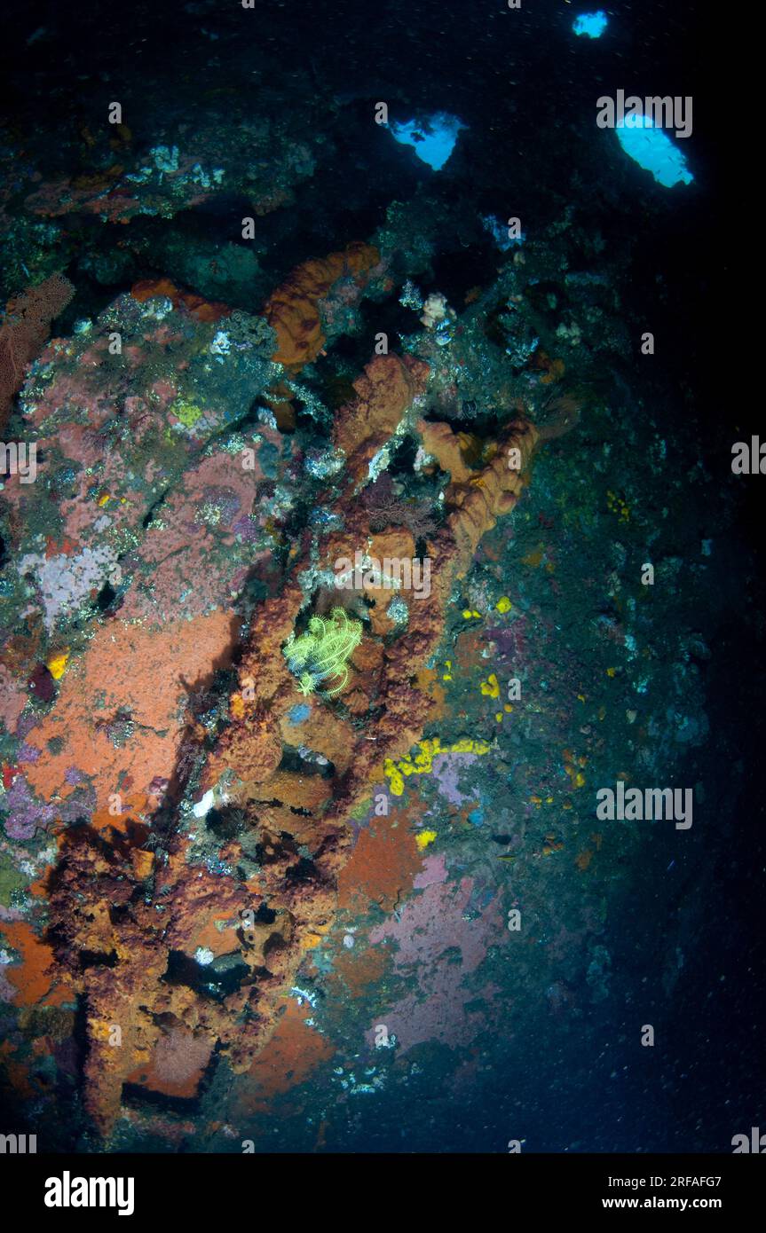 Échelle incrustée de corail à l'intérieur du navire USAT Liberty, site de plongée Liberty Wreck, Tulamben, Karangasem, Bali, Indonésie Banque D'Images