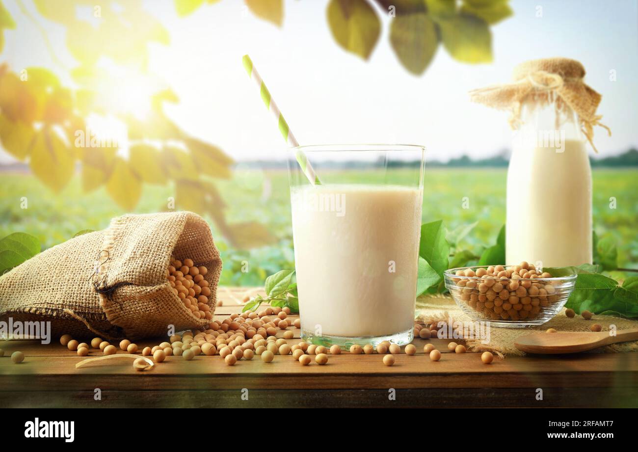 Tasse en verre et bouteille avec boisson de soja sur la table en bois avec sac plein de haricots secs dans le champ. Vue avant. Banque D'Images