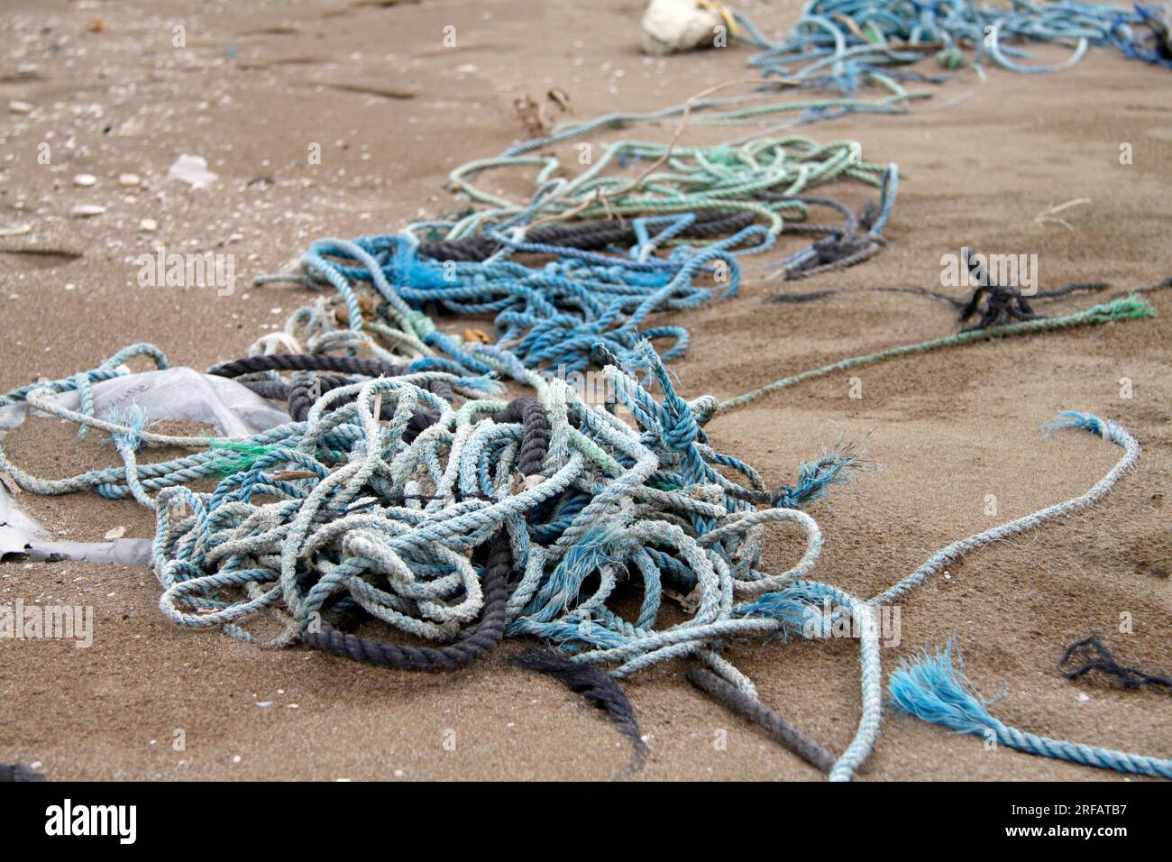 La pollution des plages par les déchets constitue une menace importante pour la vie marine. Cela inclut les matières dangereuses telles que les sacs en plastique et les cordes, qui Banque D'Images