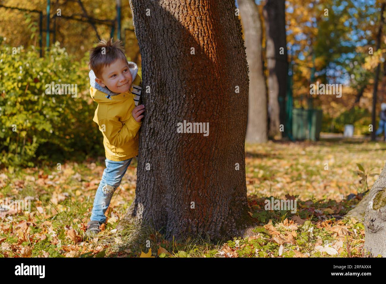 mignon garçon caucasien se cacher derrière l'arbre dans le parc d'automne. jouer à l'extérieur . Photo de haute qualité Banque D'Images