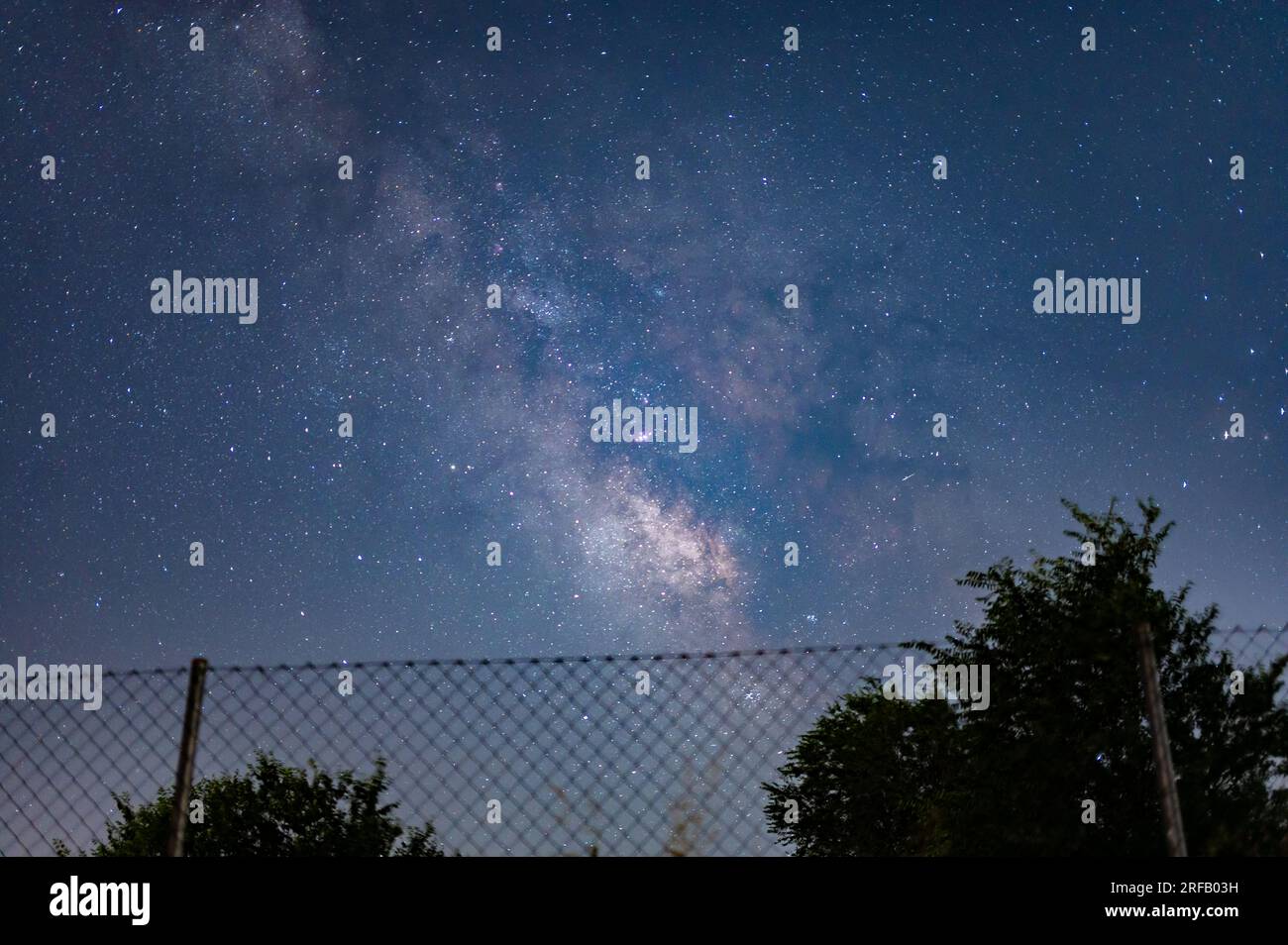 La voie lactée brille au-dessus de la clôture et des arbres la nuit Banque D'Images