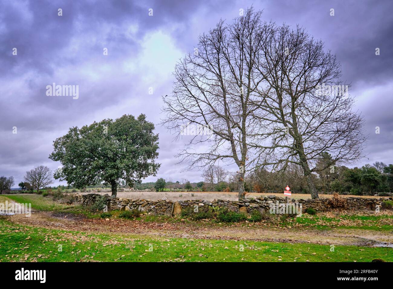 Mur de pierre traditionnel à Constantim. Miranda do Douro, Tras-os-Montes. Portugal Banque D'Images
