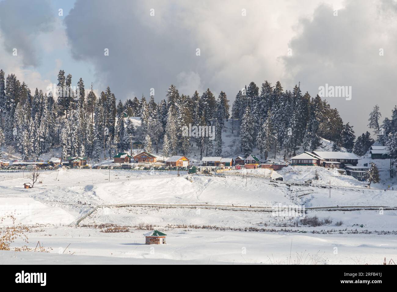 Bonheur sensoriel dans l'air parfumé au pin de Gulmarg Banque D'Images