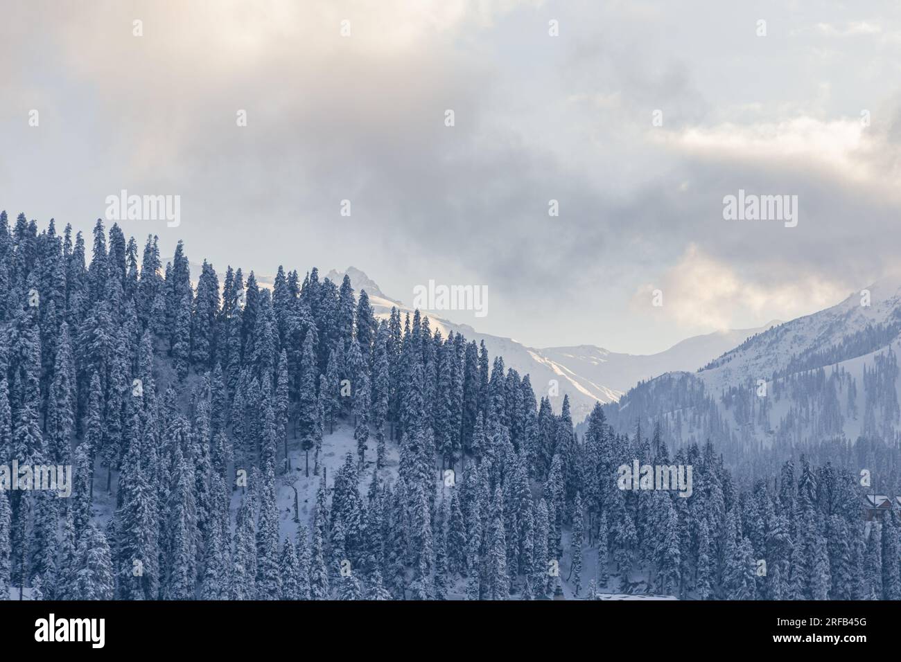 La solitude sereine vous attend à Gulmarg. Banque D'Images