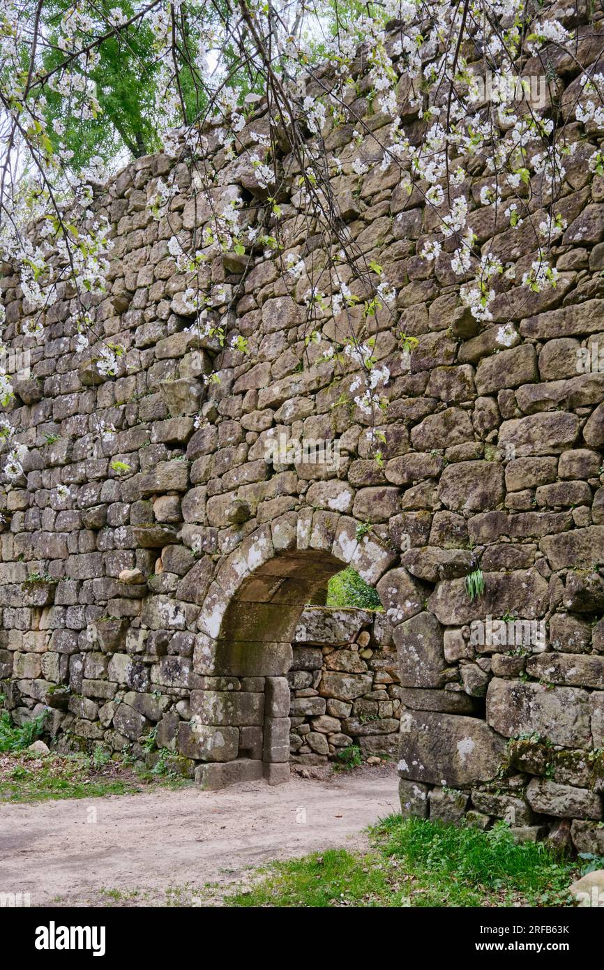 Mur défensif principal du monastère bénédictin de Sanfins de Friestas 12e siècle, Valenca do Minho. Alto Minho, Portugal Banque D'Images