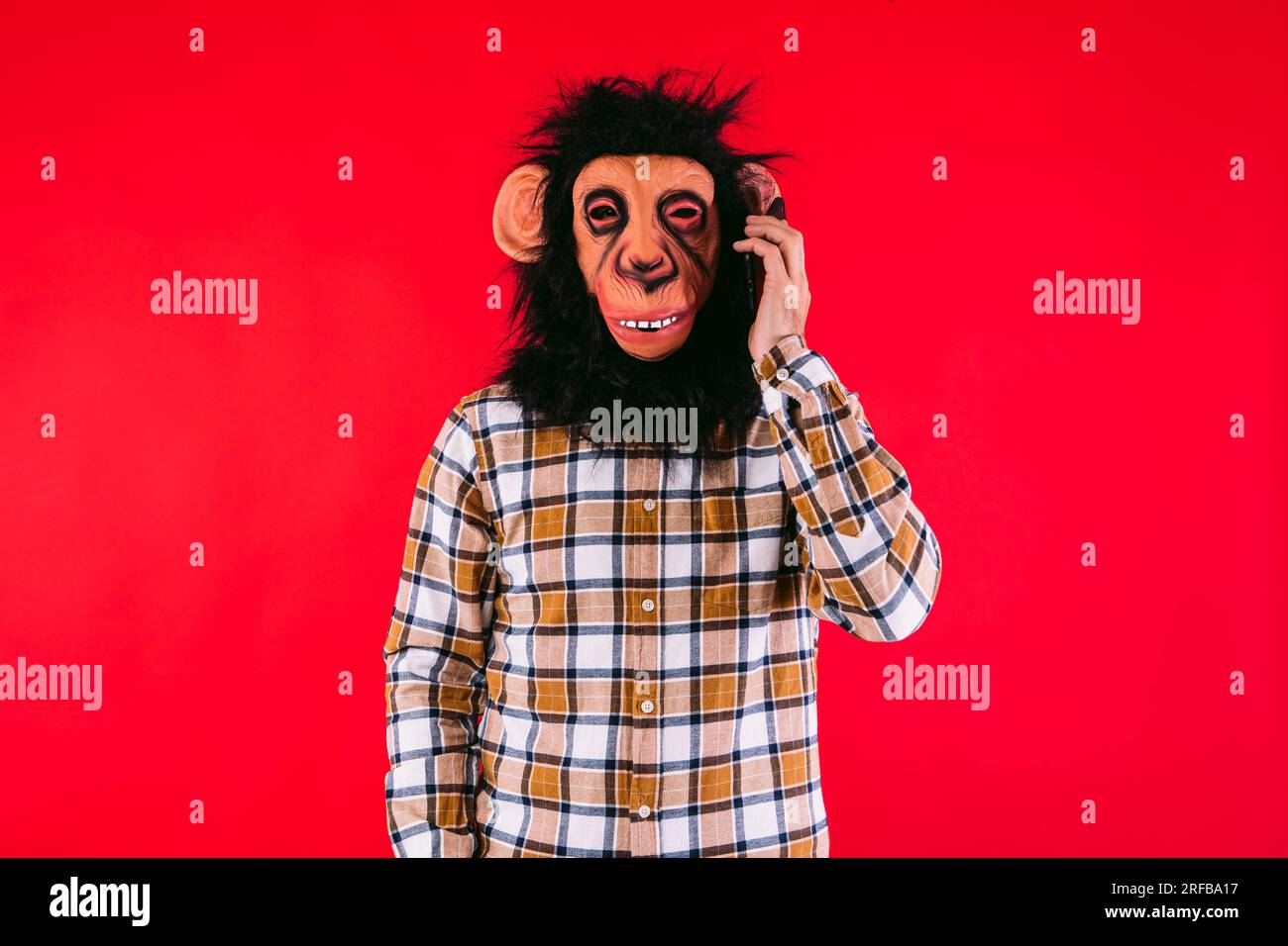 Homme avec masque de singe chimpanzé et chemise à carreaux, parlant sur son téléphone portable ou smartphone, sur fond rouge. Banque D'Images