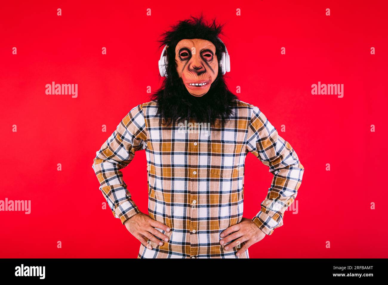 Homme avec masque de singe chimpanzé et chemise à carreaux, écoutant de la musique avec des écouteurs blancs, sur fond rouge. Banque D'Images