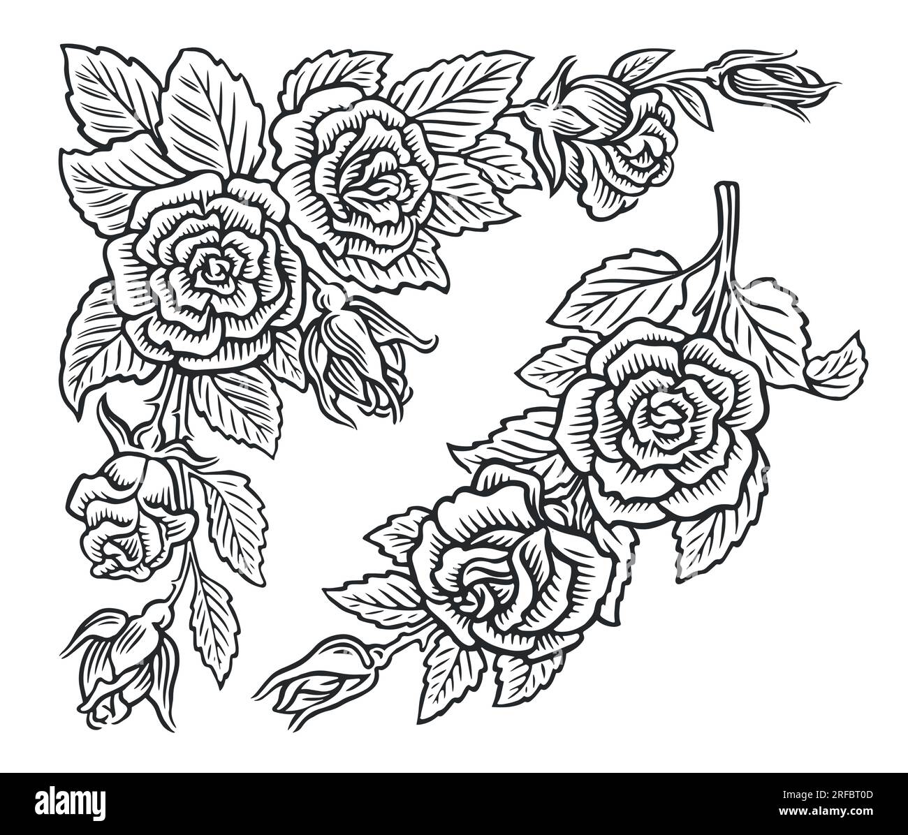 Ensemble de décoration de fleurs. Fleurs sauvages, roses avec des feuilles dessinées dans le style de croquis. Illustration vectorielle vintage motif floral Illustration de Vecteur