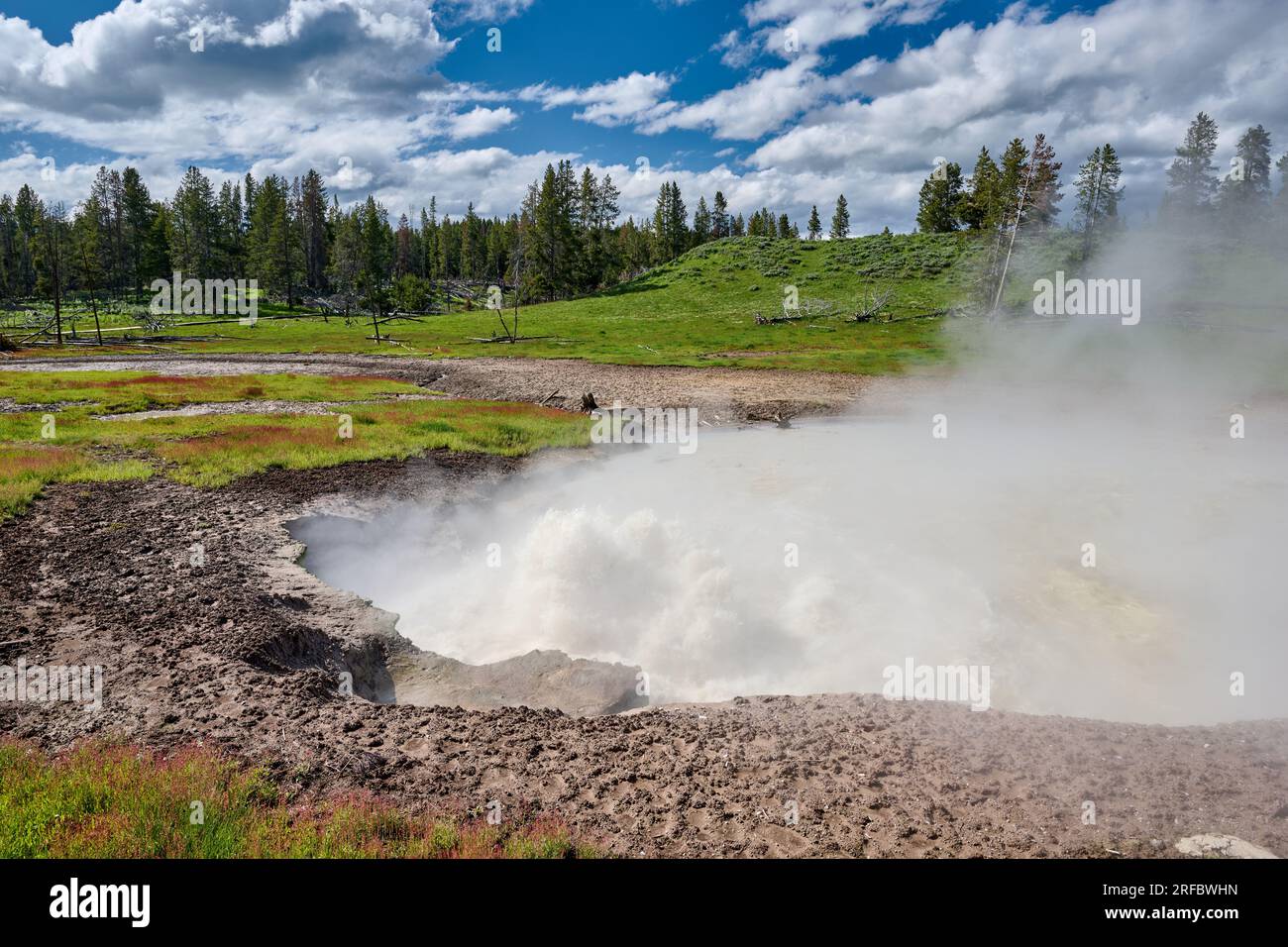 Curning Caldron, Mud Volcano Area, Yellowstone National Park, Wyoming, États-Unis d'Amérique Banque D'Images