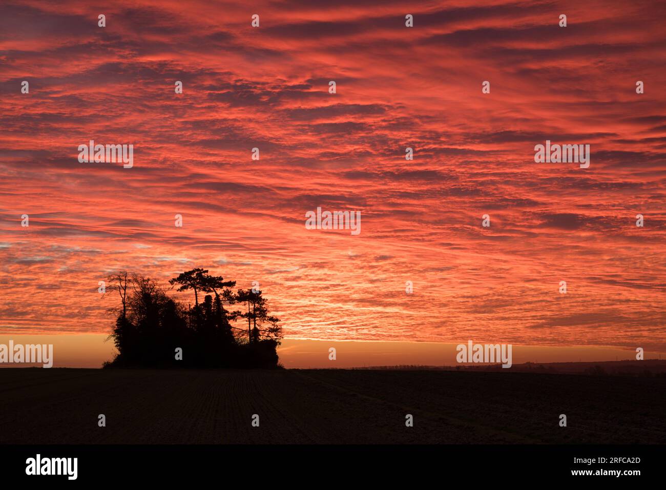 Lever du soleil sur les champs Stapleford, Cambridgeshire Banque D'Images
