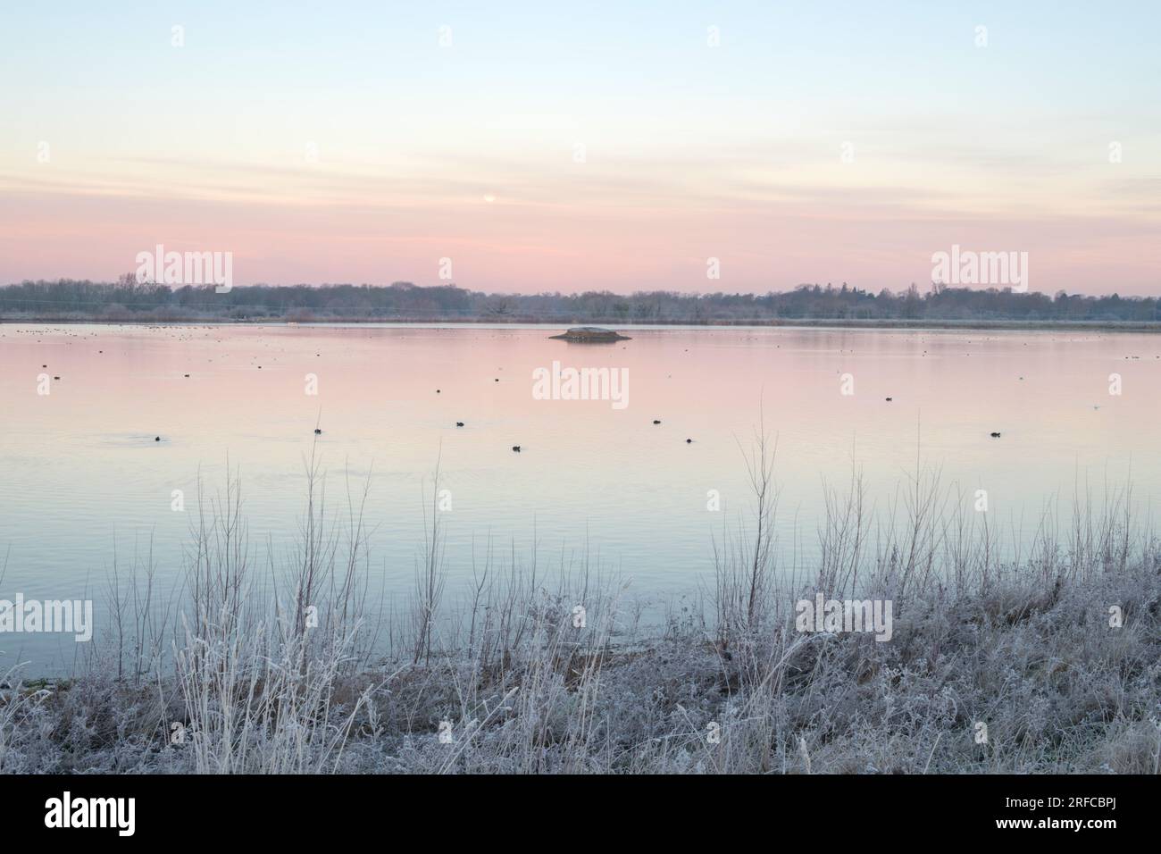 Matin d'hiver glacial à Dernford Reservoir, Sawston, Cambridgeshire Banque D'Images