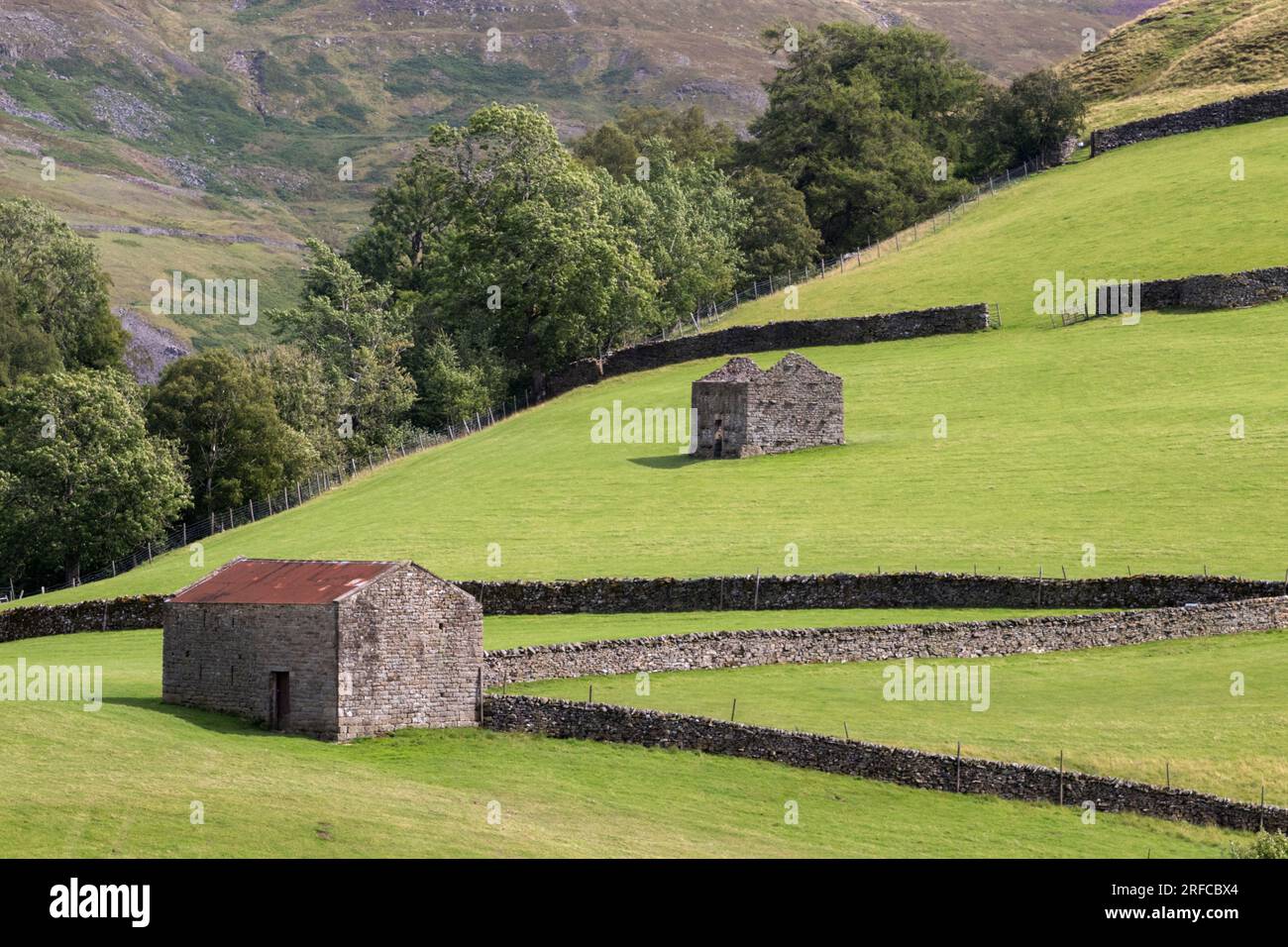 Champs à Keld, parc national des Yorkshire Dales sillonnés de murs et parsemés de granges traditionnelles. Banque D'Images