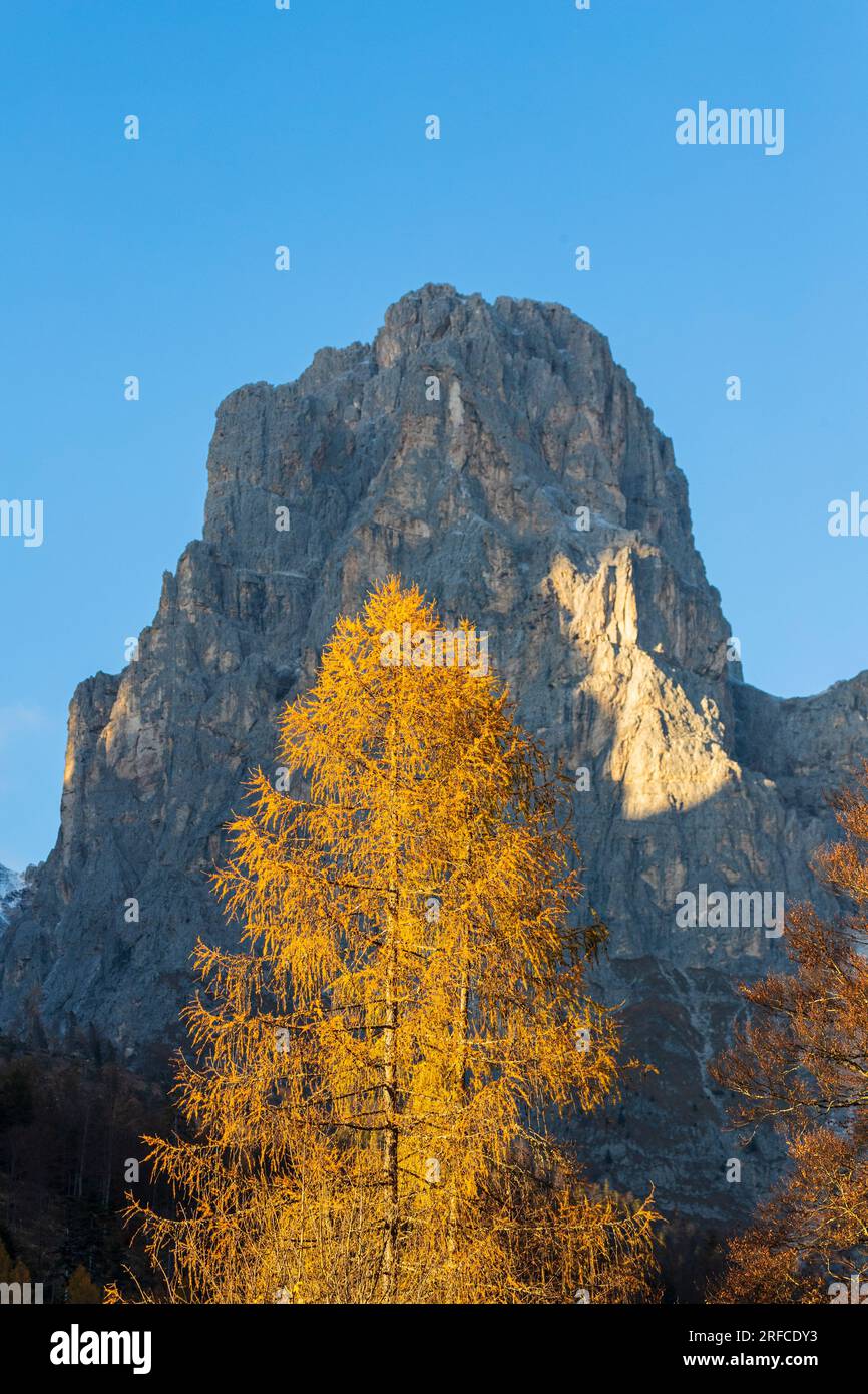 Trentin Val Canali - Pale di San Martino - Canali pic Banque D'Images