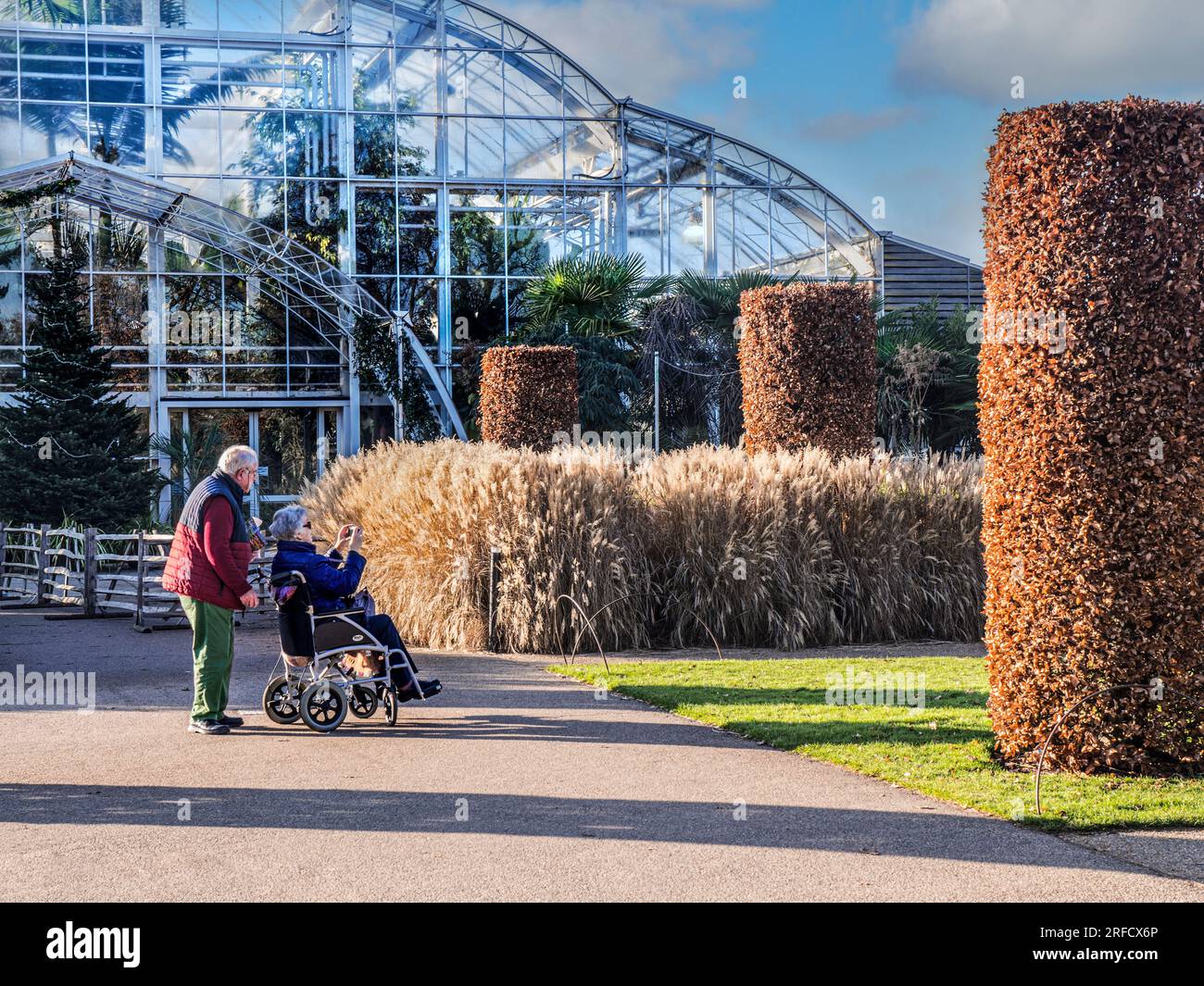 Couple adulte handicapé et soignant à Wisley Horticultural Gardens, mari soignant sa femme en fauteuil roulant, qui prend une photo du jardin d'hiver. Banque D'Images