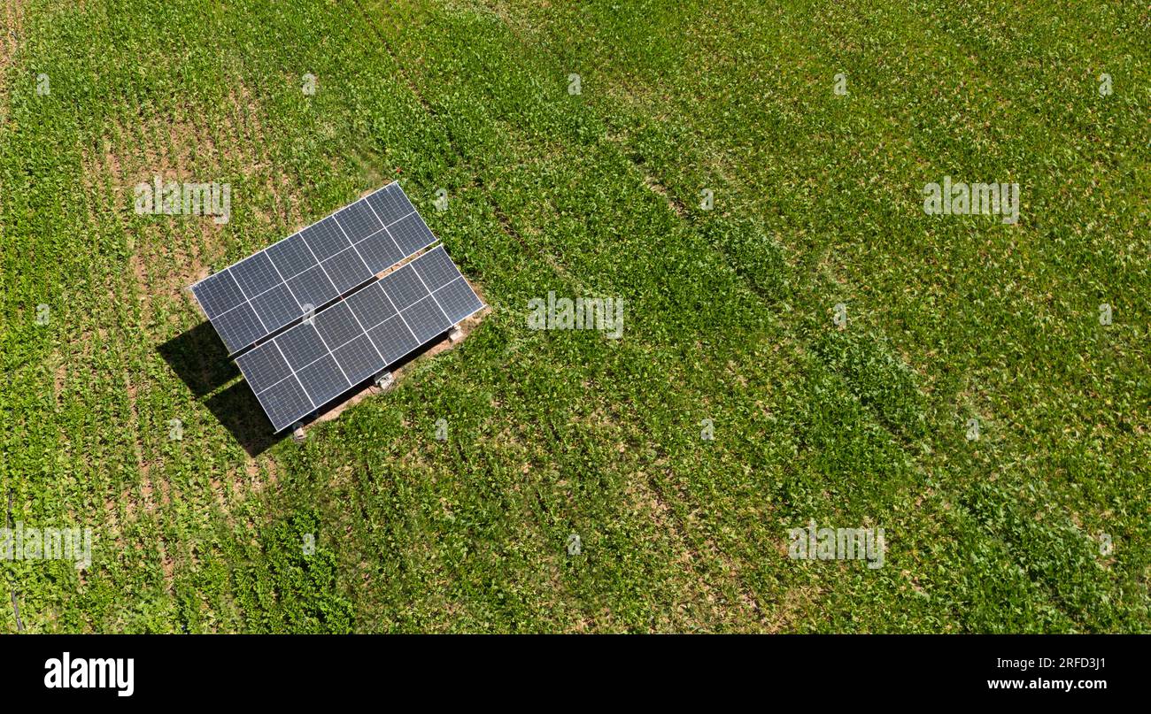 Panneaux solaires au milieu d'un champ de cultures fraîches pour l'été. Énergie photovoltaïque, énergie alternative et durable Banque D'Images