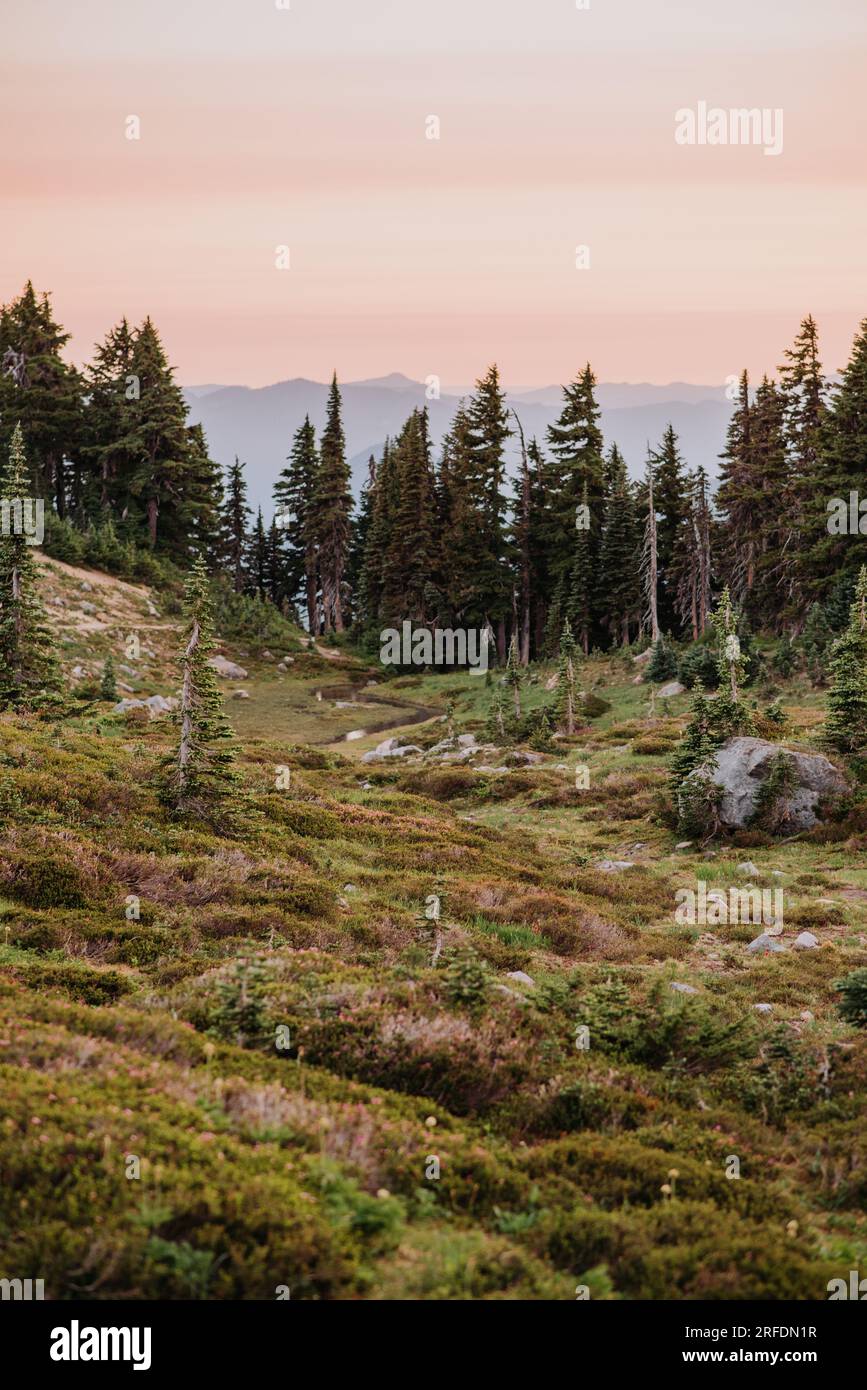 Coucher de soleil au paradis, Mt. Parc national Rainier Banque D'Images