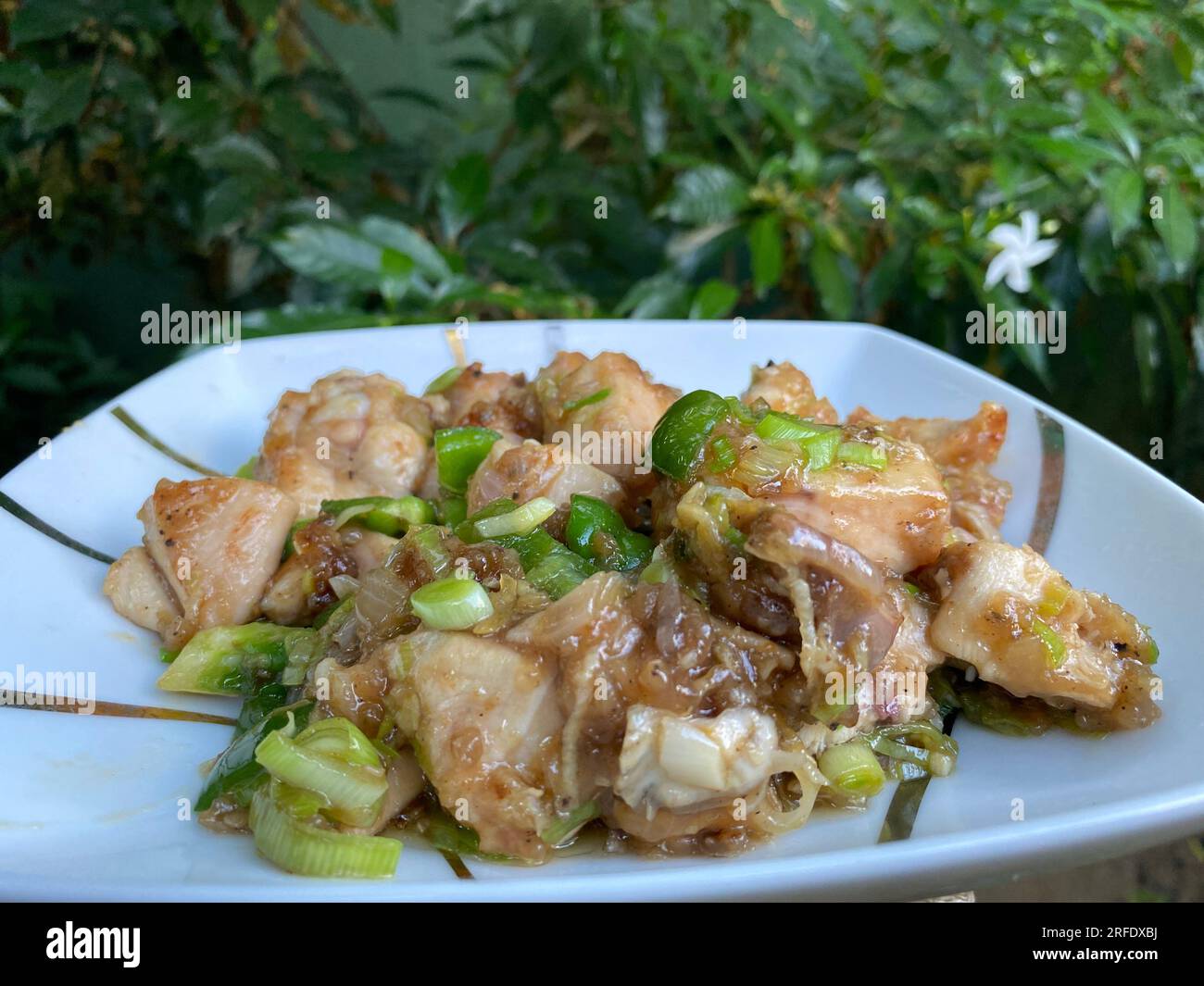 Nourriture au Sri Lanka. Visitez le Sri Lanka Banque D'Images